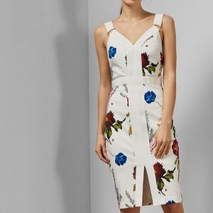 Ted Baker AMYLIA Berry Sundae BodyCon